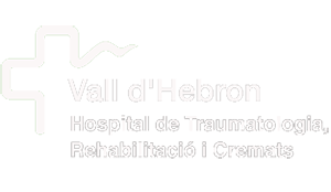 vall hebron logo